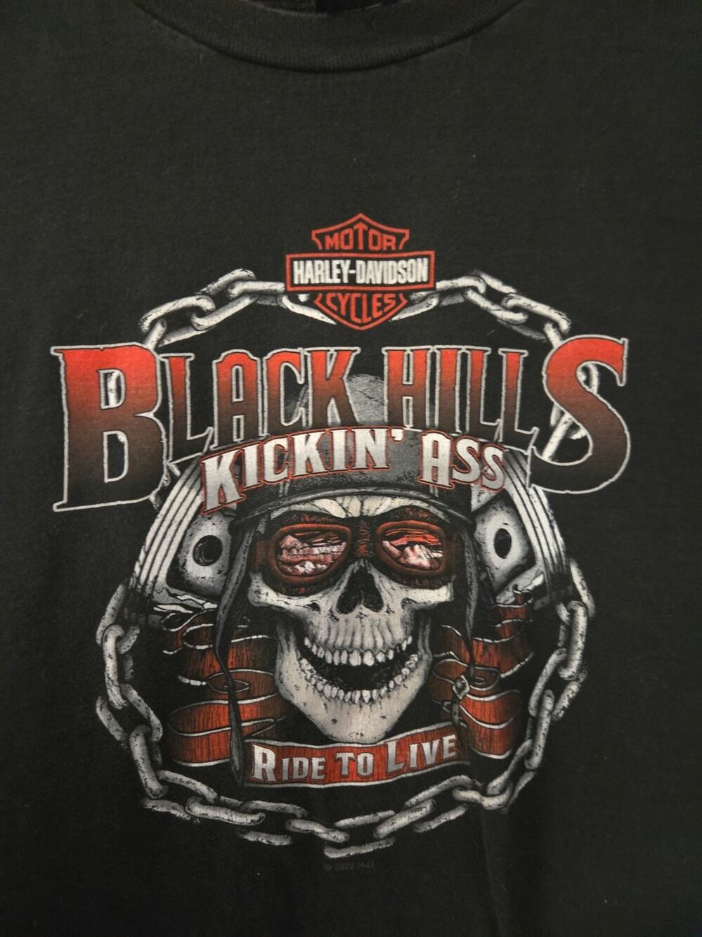 Harley-Davidson Shirt Mens XL Republic South Dakota Kickin Ass Skull Tee Moto